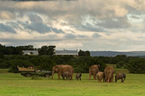 Addo South Africa Reservation Promo Code Agoda.com