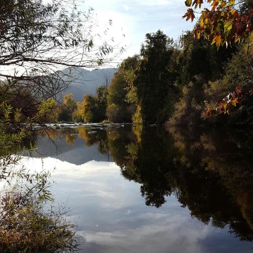 Three Rivers (CA) United States Reservation Promo Code Agoda.com