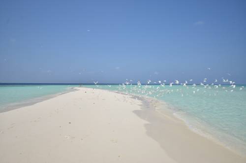 Ukulhas Maldivas Código promocional de reserva de hotel Booking.com
