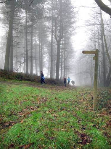 Hindhead United Kingdom Reservation