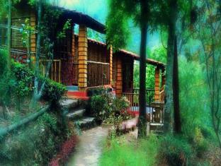 Darjeeling India Reservation Promo Code Agoda.com
