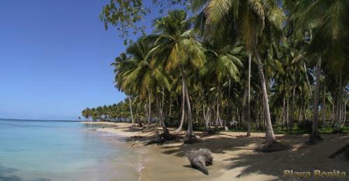 Las Terrenas Dominican Republic Reservation Promo Code Booking.com