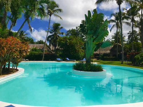 Las Terrenas Dominican Republic Reservation Promo Code Agoda.com