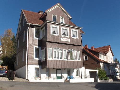 Braunlage Germany Reservation Promo Code Booking.com