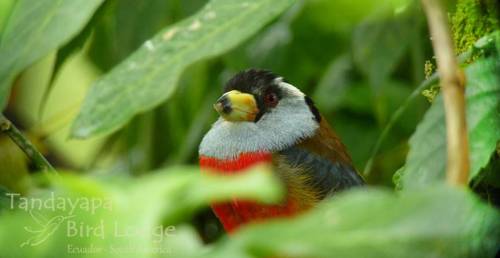 Tandayada Ecuador promotiecode hotelreservering booking.com