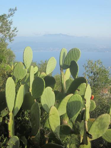 阿雅克修 法國 Ajaccio 预订促销代码 booking.com