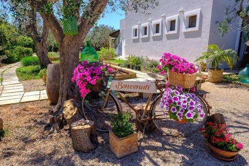 Gallipoli Italy Reservation Promo Code Agoda.com