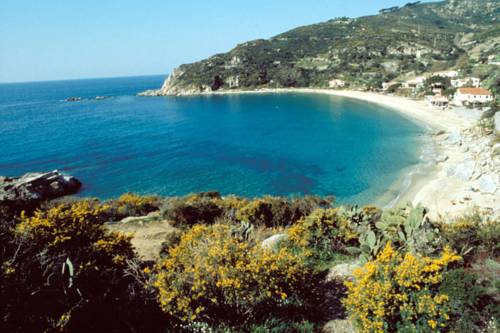 Cavoli Italy Reservation