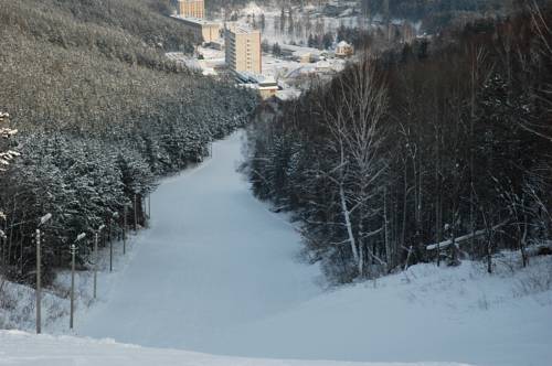 Belokurikha Russia Reservation Promo Code Booking.com