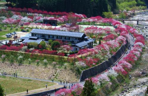 Iida Japan Reservation Promo Code Agoda.com