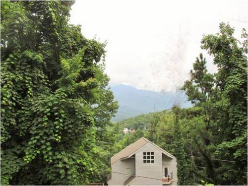 Gatlinburg (Tennessee) stati Uniti prenotazione codice promozionale hotel booking.com