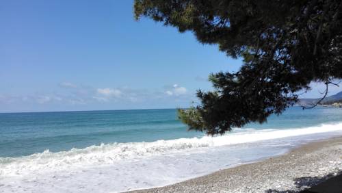 Bar Montenegro Reservation