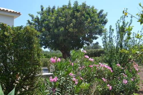 Avola Italy Reservation Promo Code Booking.com