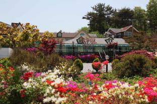 Taean-gun South Korea Reservation Promo Code Agoda.com