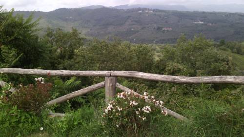 Montevarchi Italy Reservation Promo Code Booking.com