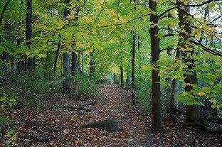 Madison (WI) United States Reservation Promo Code Agoda.com