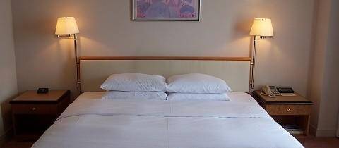 塞林根 荷蘭 Sellingen 预订促销代码 booking.com