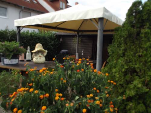 Speyer Germany Reservation Promo Code Booking.com