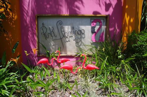 Port Douglas Australia Reservation