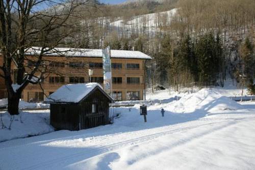 Schnepfau Austria Reservation Promo Code Booking.com