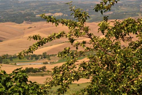 Chianni Italy Reservation Promo Code Booking.com