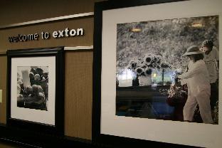 Exton (PA) United States Reservation Promo Code Agoda.com
