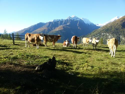 Schachnern Österreich Reservierung Hotel Promo Code Booking.com