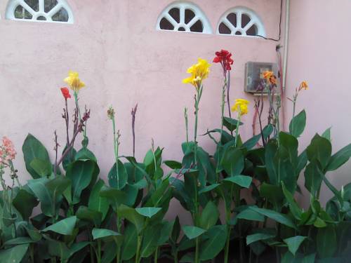 Anuradhapura Sri Lanka Reservation Promo Code Booking.com