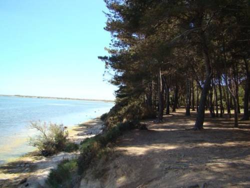 Frontignan France Reservation Promo Code Booking.com