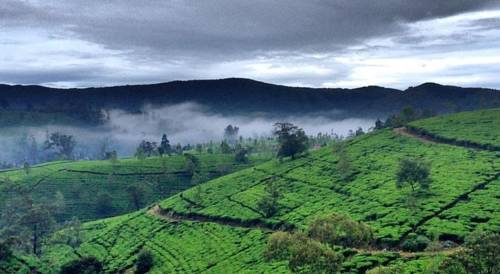 Nuwara Eliya Sri Lanka Reservation Promo Code Booking.com
