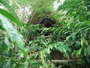 Banyuwangi Indonesia Reservation Promo Code Agoda.com