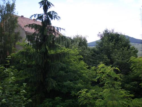 Miercurea-Ciuc Romania Reservation