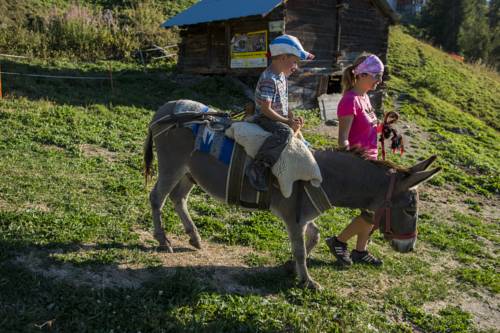 Veysonnaz Switzerland Reservation